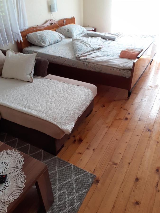 Studio Apartman Jelena Zaovine Dış mekan fotoğraf